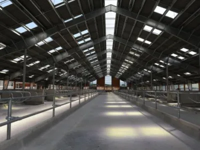 Constructii hale metalice - Brasov