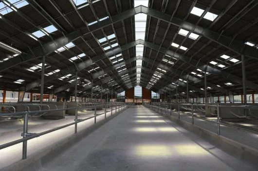 Constructii hale metalice - Brasov