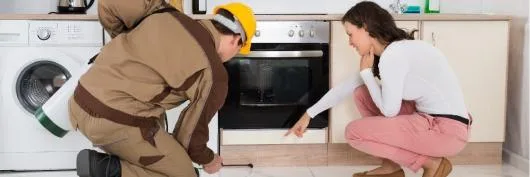 Firma Deratizare Dezinsectie Dezinfectie Bucuresti Servicii DDD DDD93