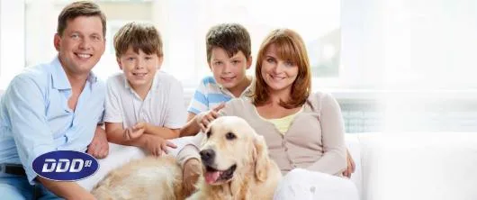 Firma Deratizare Dezinsectie Dezinfectie Bucuresti Servicii DDD DDD93