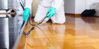 Firma Deratizare Dezinsectie Dezinfectie Bucuresti Servicii DDD DDD93