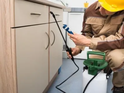 Firma Deratizare Dezinsectie Dezinfectie Bucuresti Servicii DDD DDD93