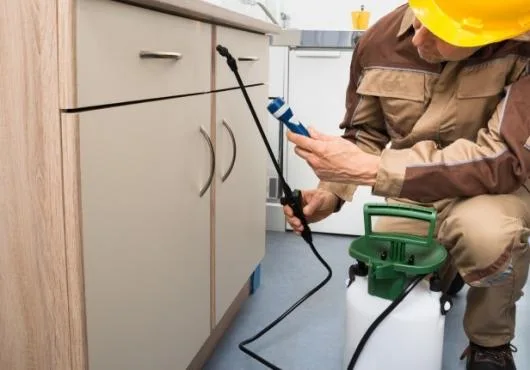 Firma Deratizare Dezinsectie Dezinfectie Bucuresti Servicii DDD DDD93