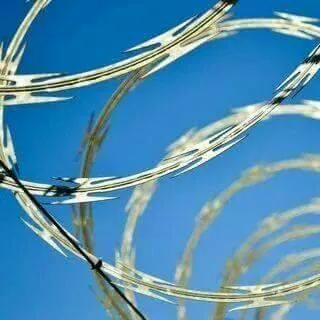 Sarma ghimpata - carbid - Bucuresti