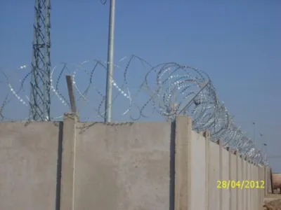 Sarma ghimpata - carbid - Bucuresti