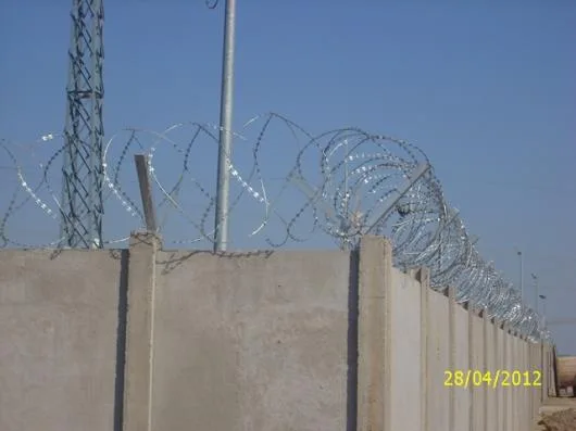 Sarma ghimpata - carbid - Bucuresti