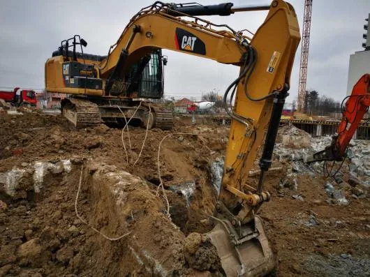 Demolari cladiri si debarasarea molozului - Timisoara