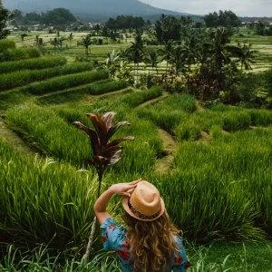 Printarea sau developarea imaginilor digitale - Bucuresti