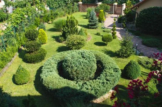 Constructii civile,industriale,amenajari - Baia Mare