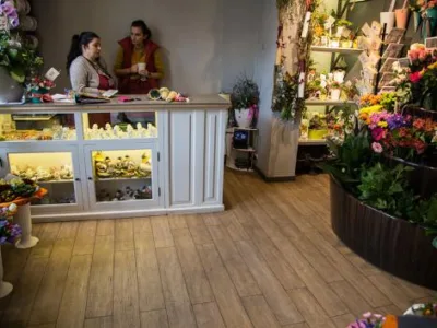 Comert materiale de finisaj interior - Oradea