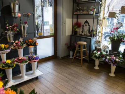 Comert materiale de finisaj interior - Oradea