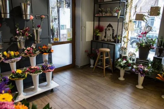 Comert materiale de finisaj interior - Oradea