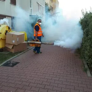 Dezinsectie - dezinfectie - deratizare - Chitila / Ilfov