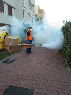 Dezinsectie - dezinfectie - deratizare - Chitila / Ilfov