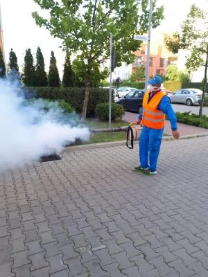 Dezinsectie - dezinfectie - deratizare - Chitila / Ilfov