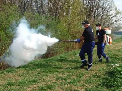 Dezinsectie - dezinfectie - deratizare - Chitila / Ilfov