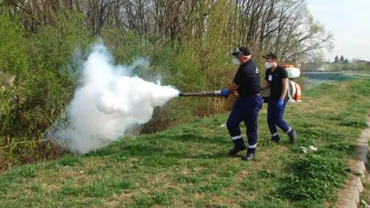 Dezinsectie - dezinfectie - deratizare - Chitila / Ilfov