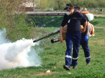 Dezinsectie - dezinfectie - deratizare - Chitila / Ilfov