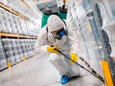 Dezinsectie - dezinfectie - deratizare - Chitila / Ilfov