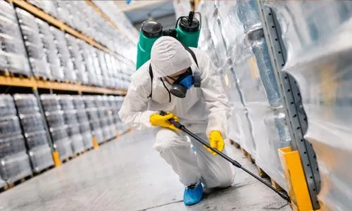 Dezinsectie - dezinfectie - deratizare - Chitila / Ilfov