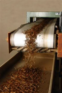 Curele de transmisie si benzi transportoare