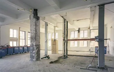 Vopsitorie - zugraveli - ipsoserie Bucuresti