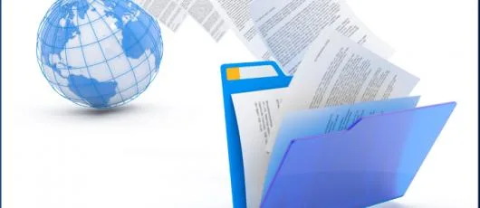 Distributie si service centrale termice Ferroli - Bucuresti