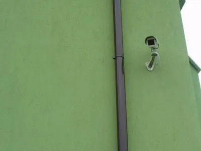 Best Guardian Quality