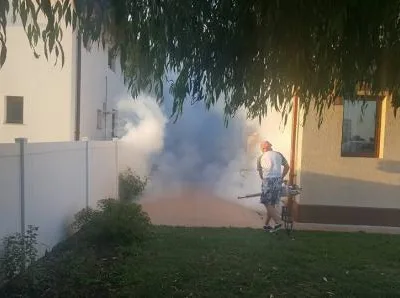 Dezinsectie - Dezinfectie - Deratizare Bucuresti - Ilfov