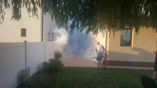 Dezinsectie - Dezinfectie - Deratizare Bucuresti - Ilfov