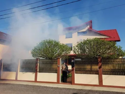 Dezinsectie - Dezinfectie - Deratizare Bucuresti - Ilfov