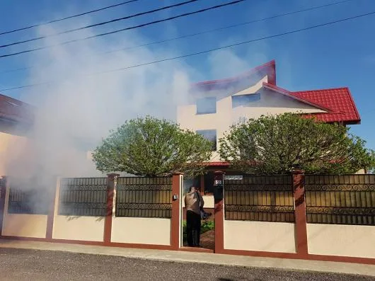 Dezinsectie - Dezinfectie - Deratizare Bucuresti - Ilfov