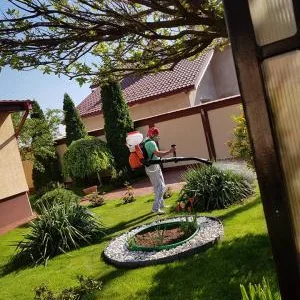 Dezinsectie - Dezinfectie - Deratizare Bucuresti - Ilfov