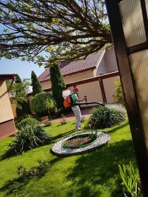 Dezinsectie - Dezinfectie - Deratizare Bucuresti - Ilfov