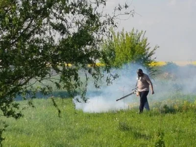 Dezinsectie - Dezinfectie - Deratizare Bucuresti - Ilfov