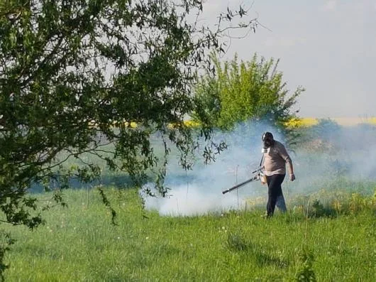 Dezinsectie - Dezinfectie - Deratizare Bucuresti - Ilfov