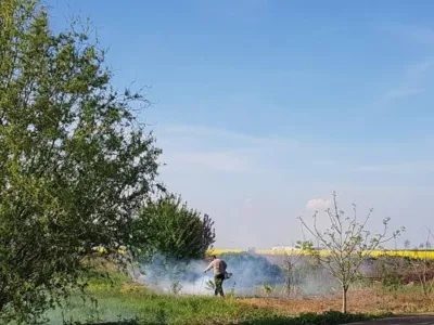 Dezinsectie - Dezinfectie - Deratizare Bucuresti - Ilfov