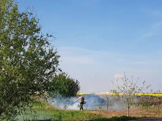 Dezinsectie - Dezinfectie - Deratizare Bucuresti - Ilfov