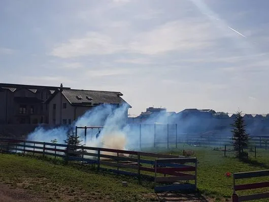 Dezinsectie - Dezinfectie - Deratizare Bucuresti - Ilfov