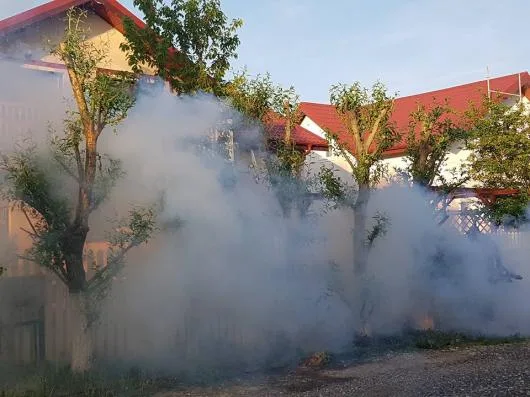 Dezinsectie - Dezinfectie - Deratizare Bucuresti - Ilfov