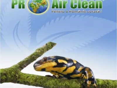 PRO AIR CLEAN