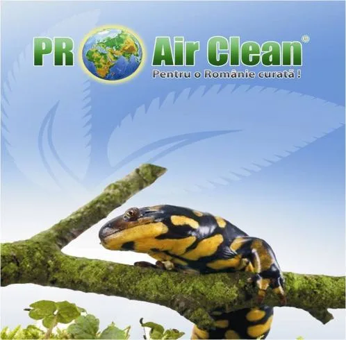 PRO AIR CLEAN