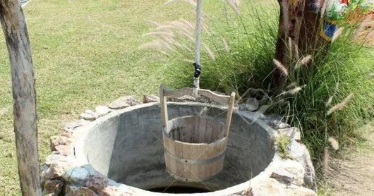 Foraje puturi Bucuresti