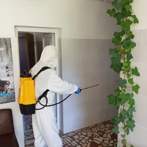 Dezinsectie - dezinfectie - deratizare Bucuresti