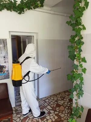 Dezinsectie - dezinfectie - deratizare Bucuresti