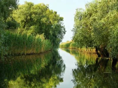 Servicii in domeniul stiintelor terestre si protectia mediului - Bucuresti