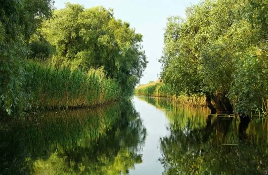 Servicii in domeniul stiintelor terestre si protectia mediului - Bucuresti