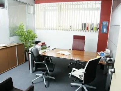 Snagov - Decoratiuni interioare