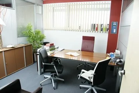 Snagov - Decoratiuni interioare