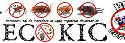 Deratizare - dezinsectie - dezinfectie Bucuresti